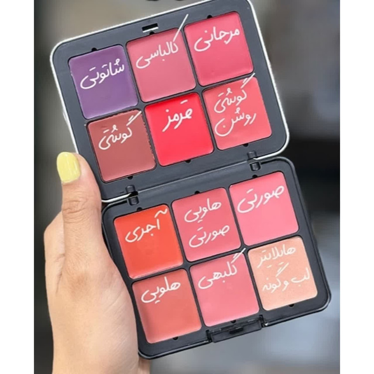پالت دو طرفه رژ لب و رژگونه و 12 رنگ مای میکاپ استوری